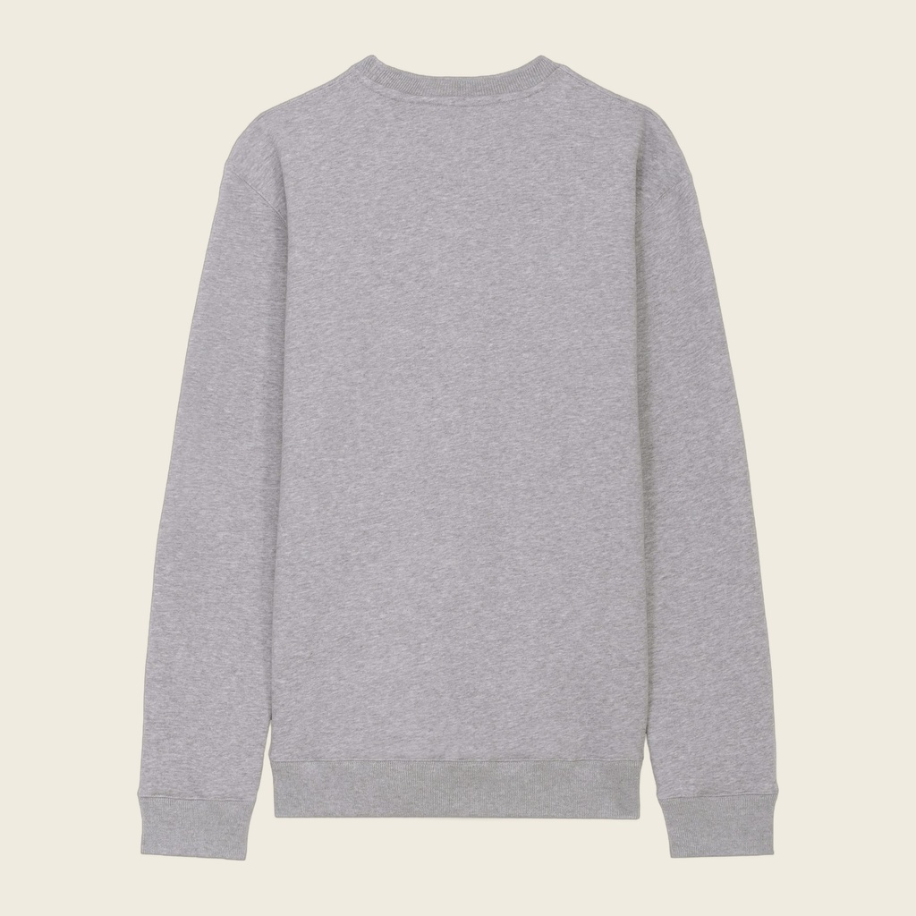 ptq-16-gris chine-dos